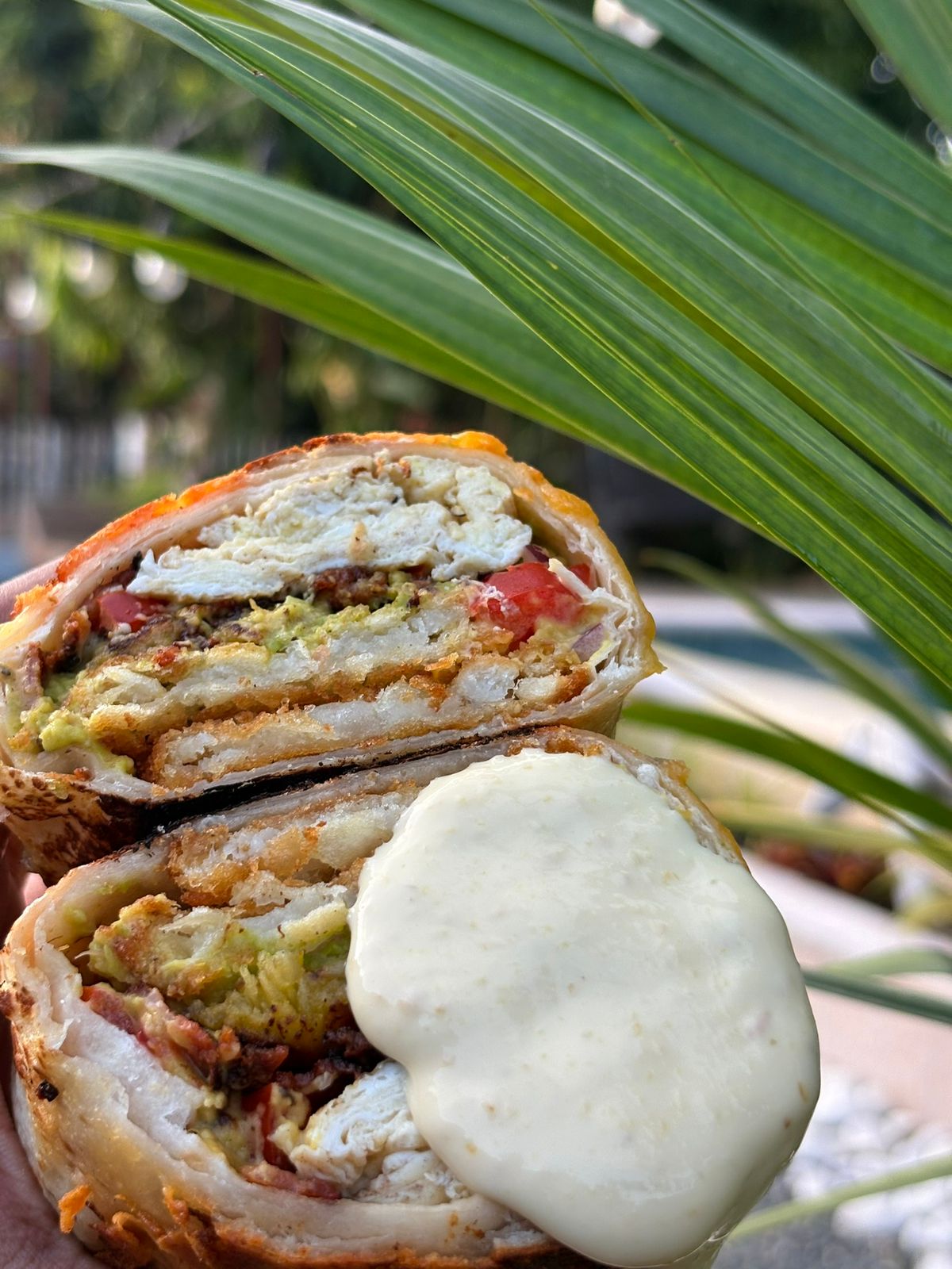 Breakfast Burrito